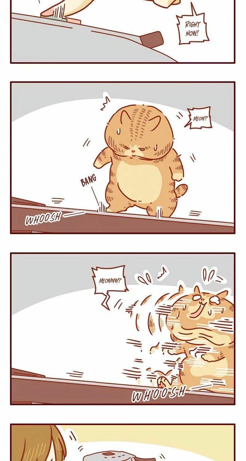 I Am a Small Kitten (Colored) Chapter 22 page 11 - 