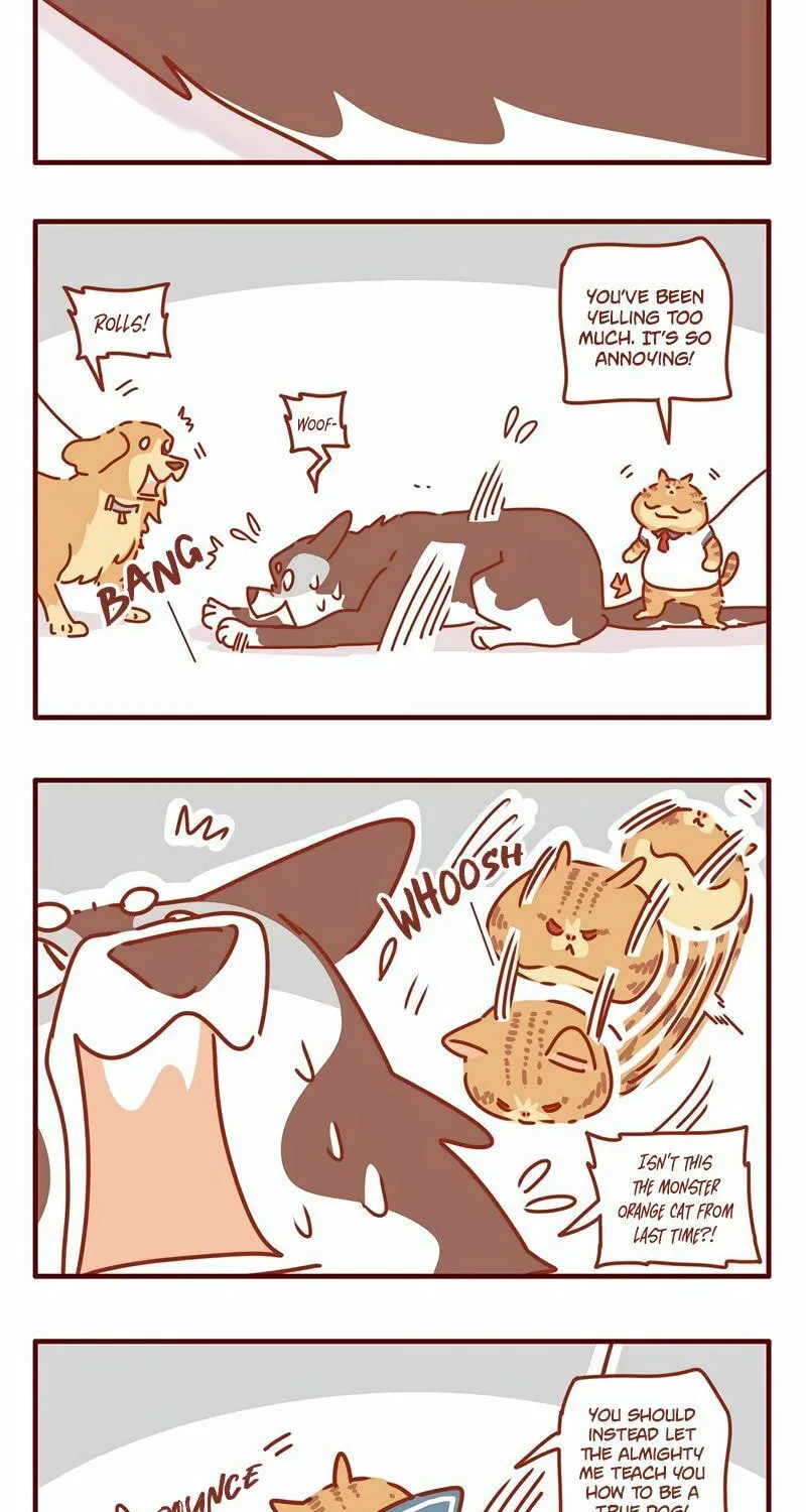 I Am a Small Kitten (Colored) Chapter 22 page 3 - 