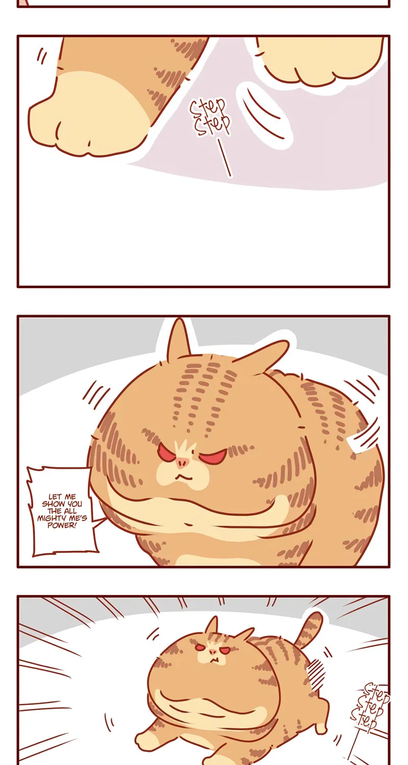 I Am a Small Kitten (Colored) Chapter 23 page 2 - 