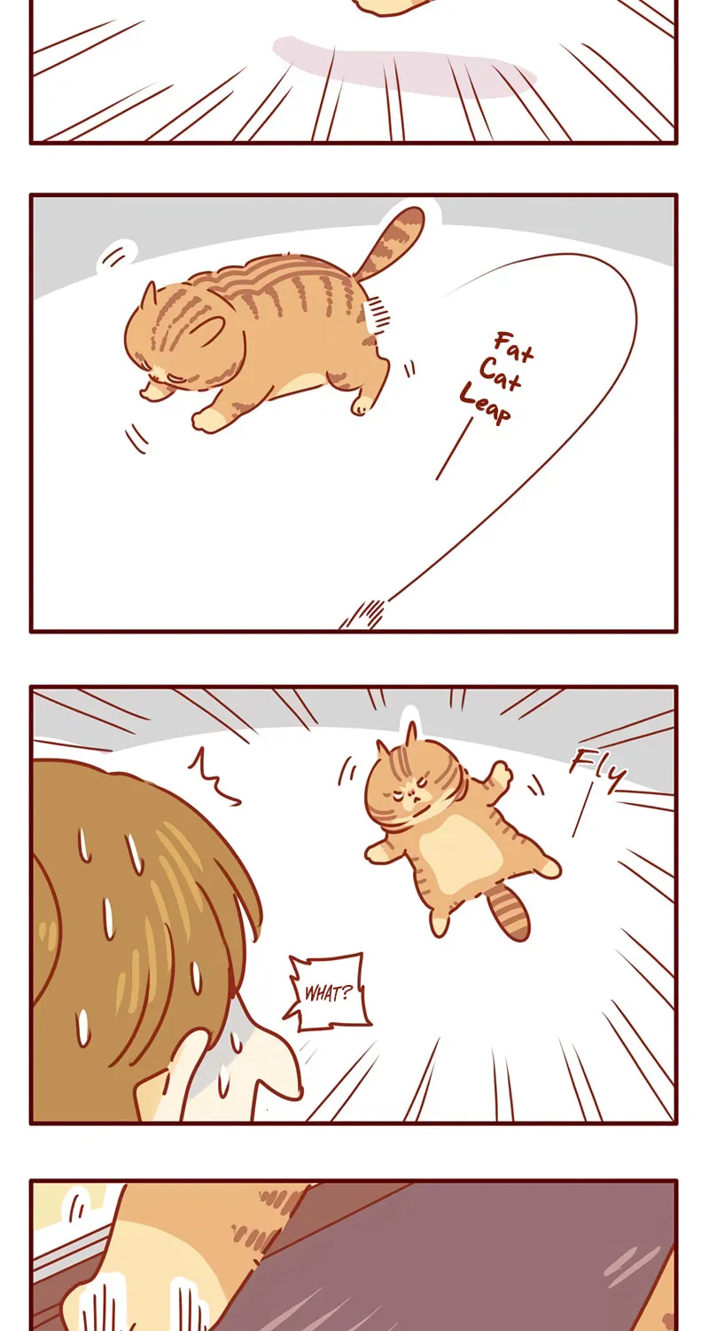 I Am a Small Kitten (Colored) Chapter 23 page 3 - 