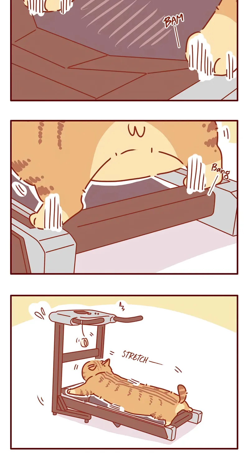 I Am a Small Kitten (Colored) Chapter 23 page 4 - 