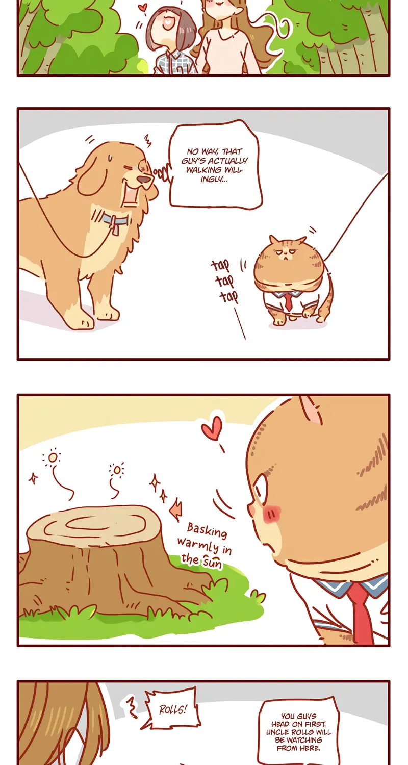 I Am a Small Kitten (Colored) Chapter 25 page 8 - 