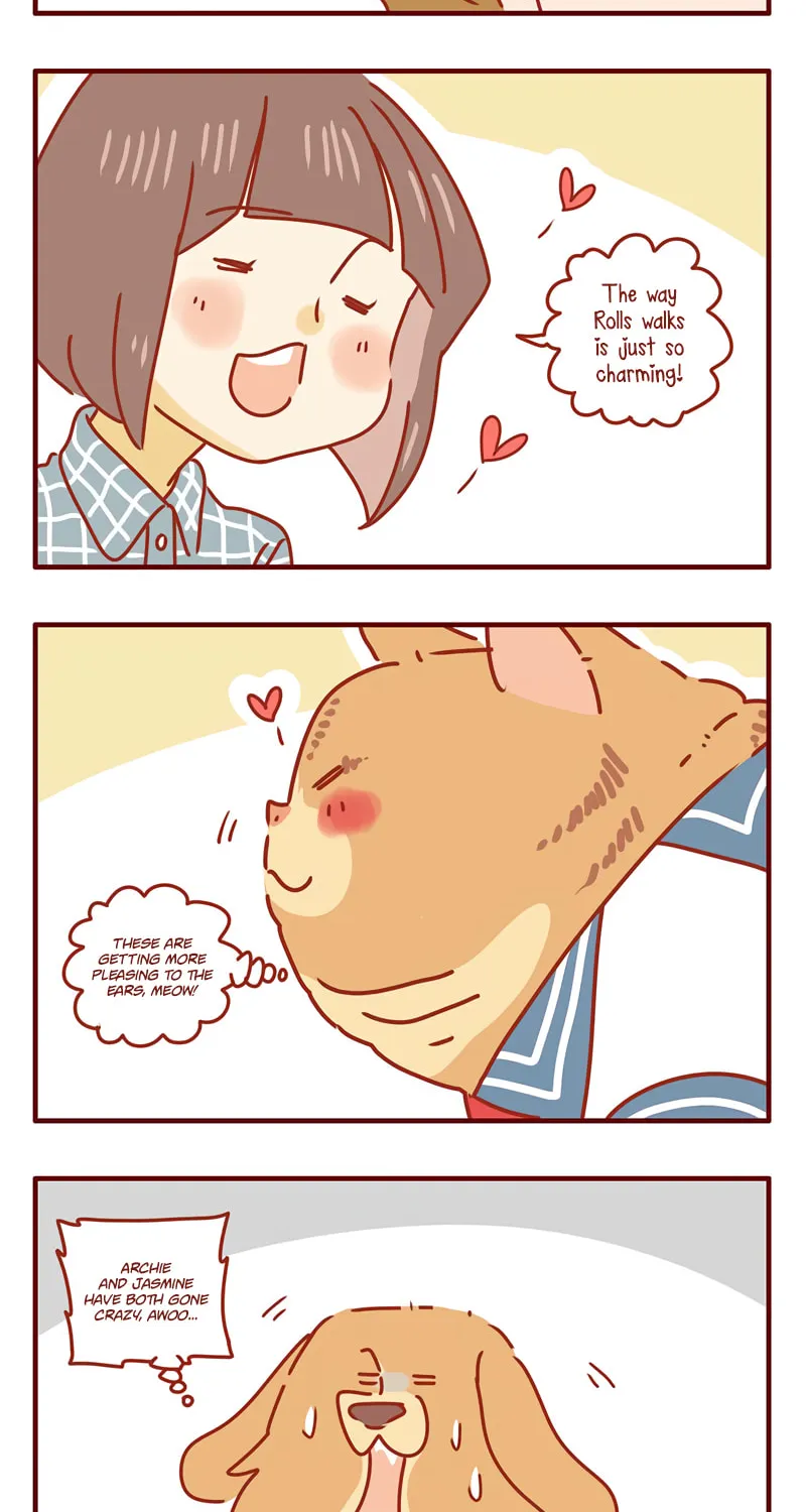 Read I Am a Small Kitten (Colored) chapter 26 image 1 on Lezhin