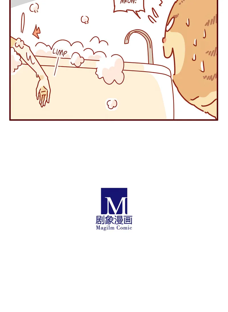 Read I Am a Small Kitten (Colored) chapter 26 image 11 on Lezhin