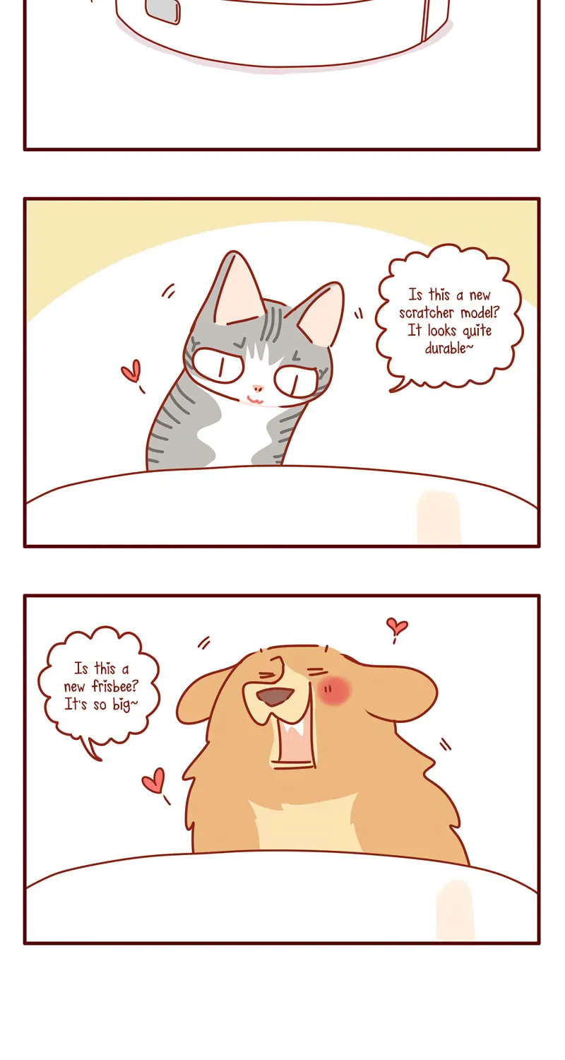 I Am a Small Kitten (Colored) Chapter 27 page 11 - 