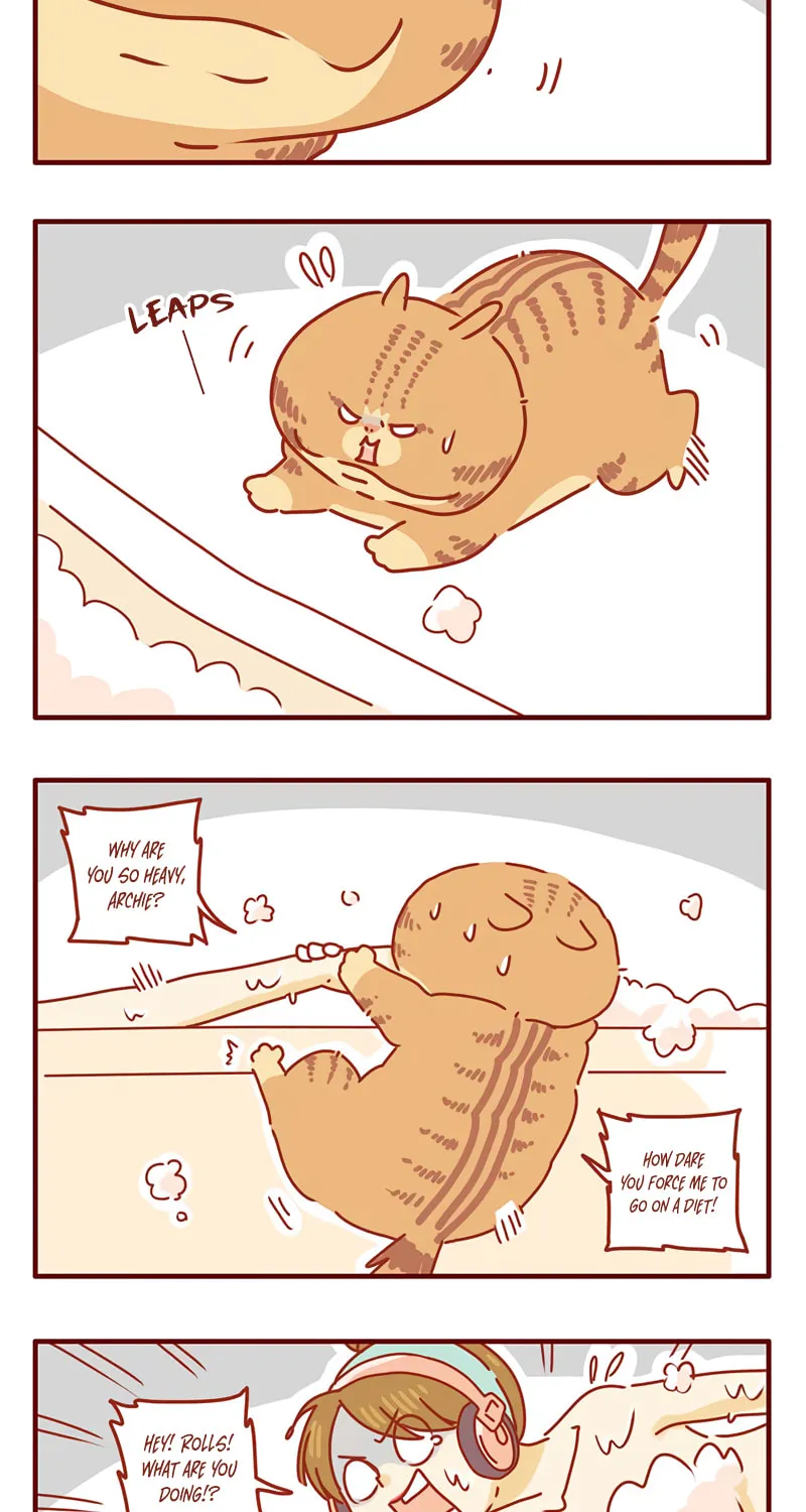 I Am a Small Kitten (Colored) Chapter 27 page 3 - 