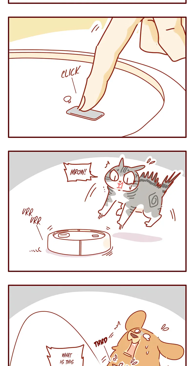 I Am a Small Kitten (Colored) Chapter 28 page 2 - 