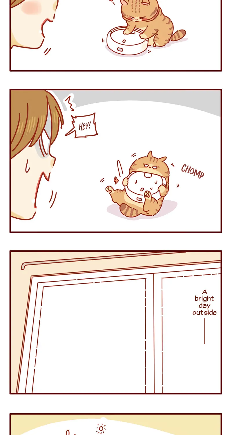 I Am a Small Kitten (Colored) Chapter 29 page 6 - 