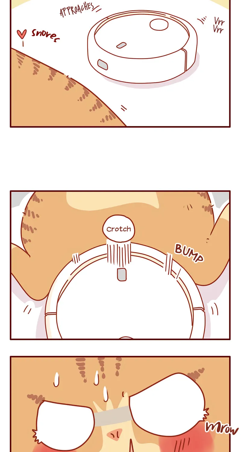 I Am a Small Kitten (Colored) Chapter 29 page 10 - 