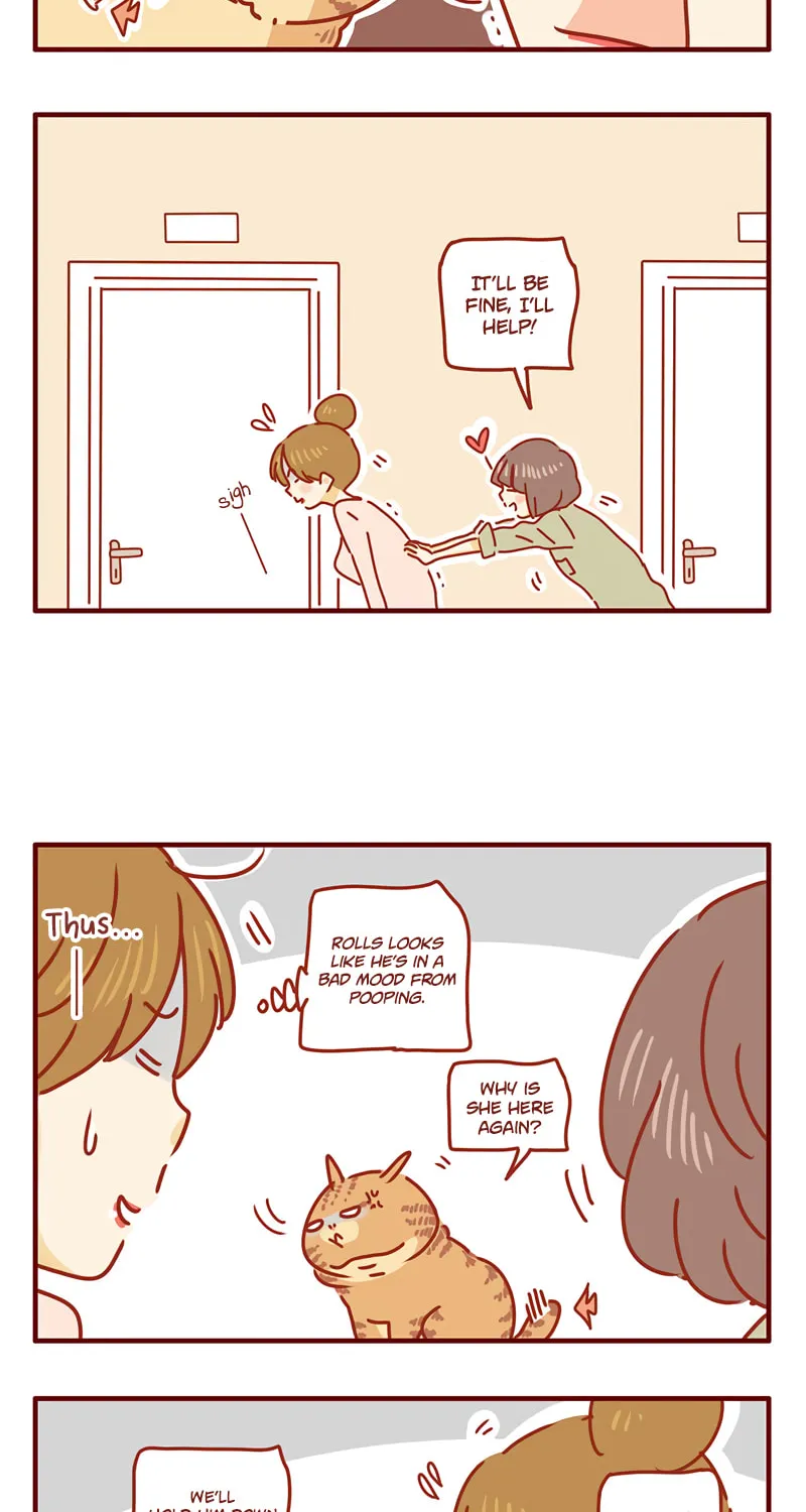 I Am a Small Kitten (Colored) Chapter 31 page 12 - 