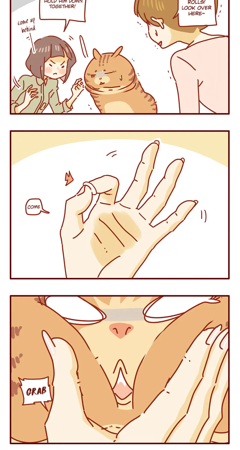 I Am a Small Kitten (Colored) Chapter 31 page 13 - 
