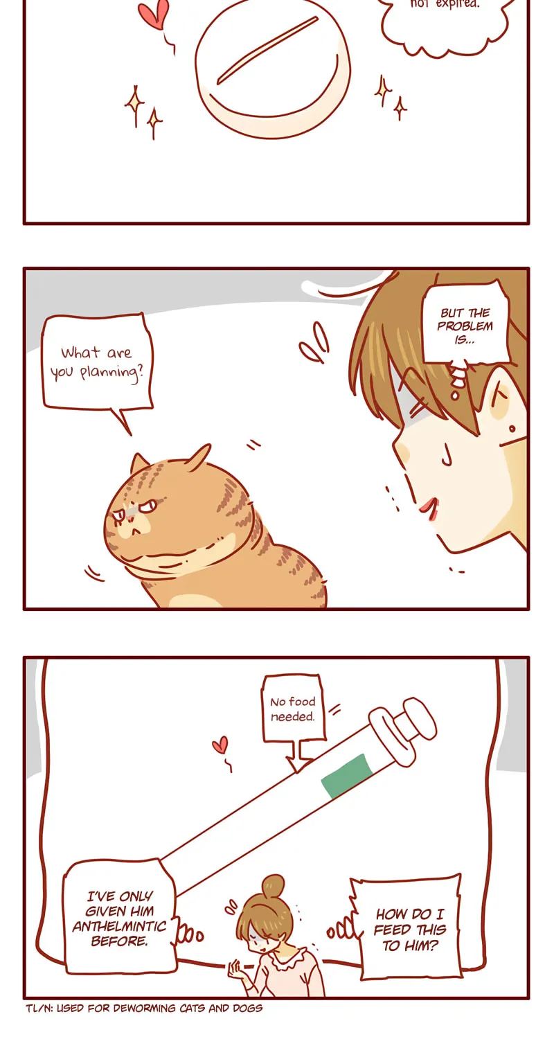 I Am a Small Kitten (Colored) Chapter 31 page 4 - 