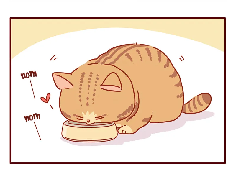 I Am a Small Kitten (Colored) Chapter 31 page 8 - 