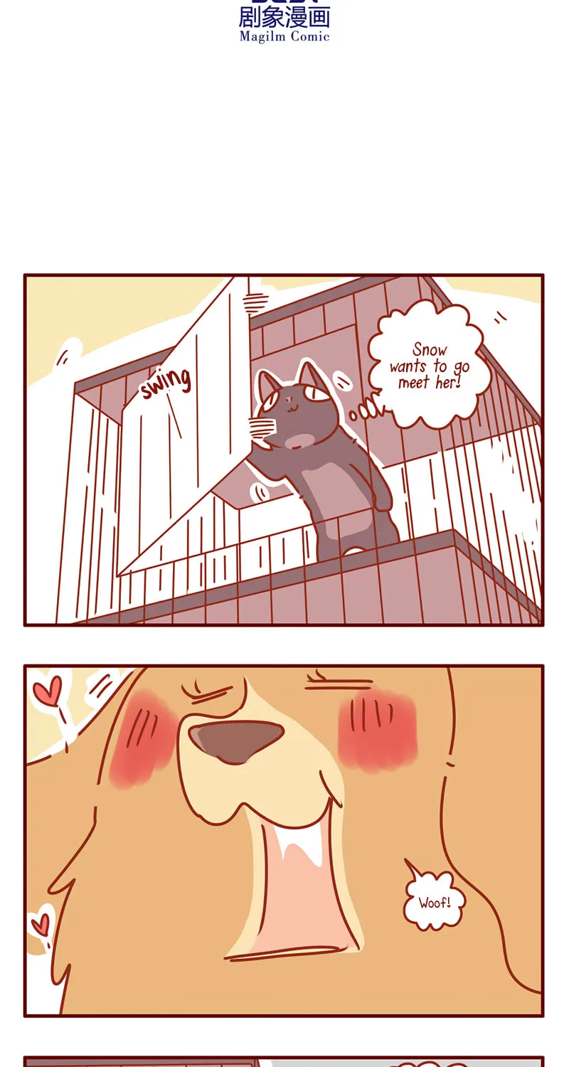 I Am a Small Kitten (Colored) Chapter 32 page 11 - 