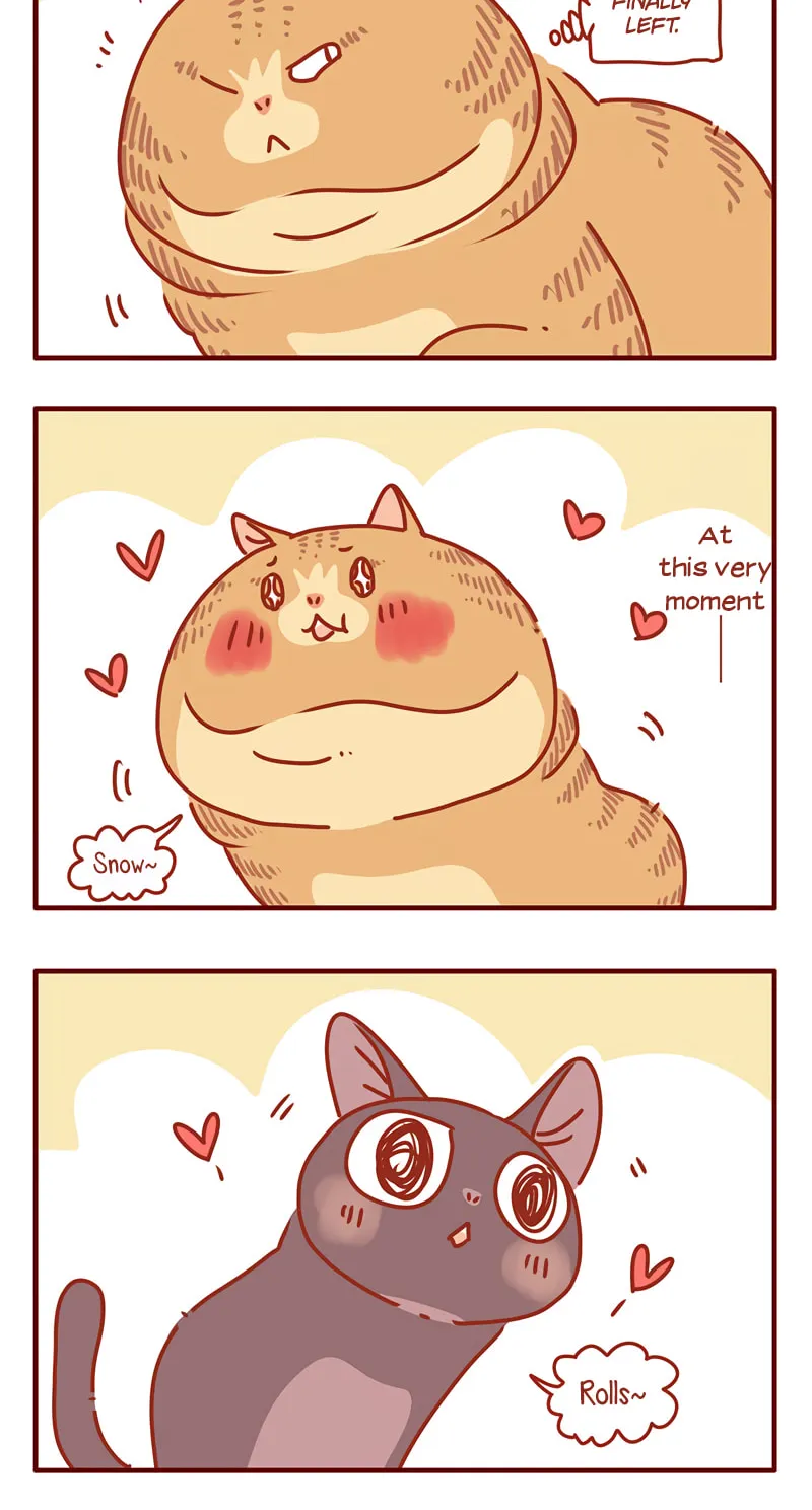 I Am a Small Kitten (Colored) Chapter 33 page 12 - 