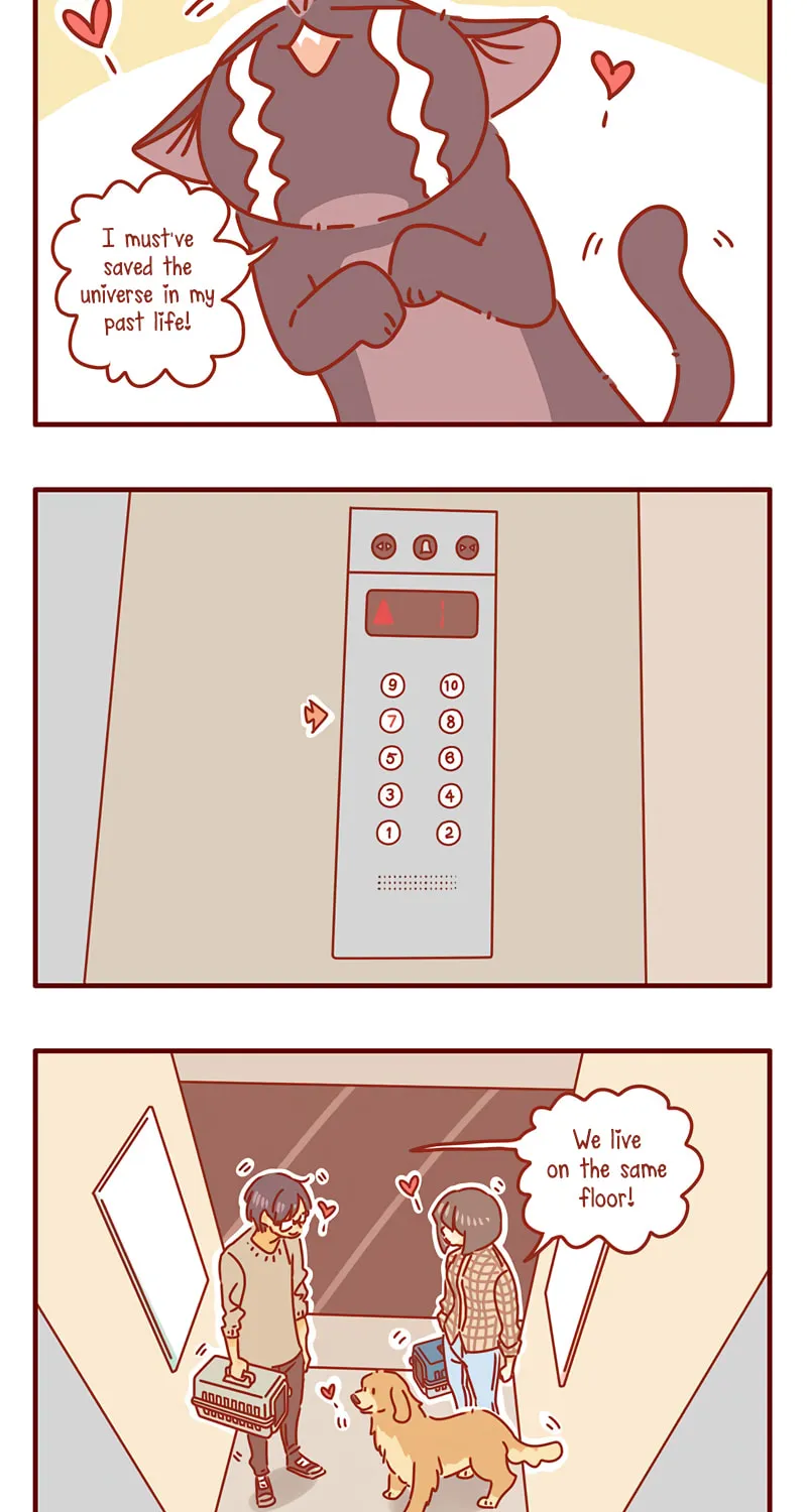 I Am a Small Kitten (Colored) Chapter 33 page 3 - 