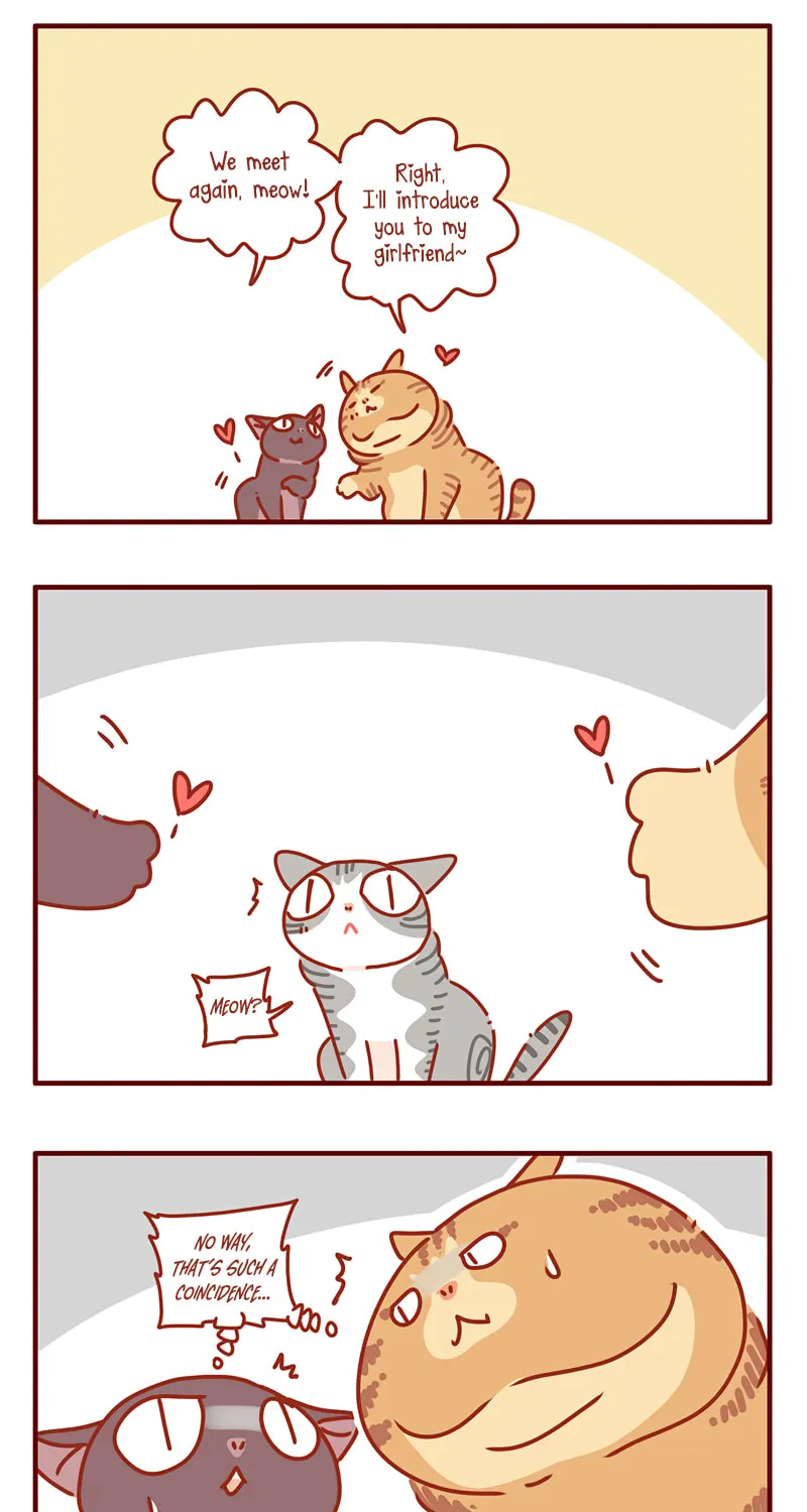 I Am a Small Kitten (Colored) Chapter 33 page 7 - 