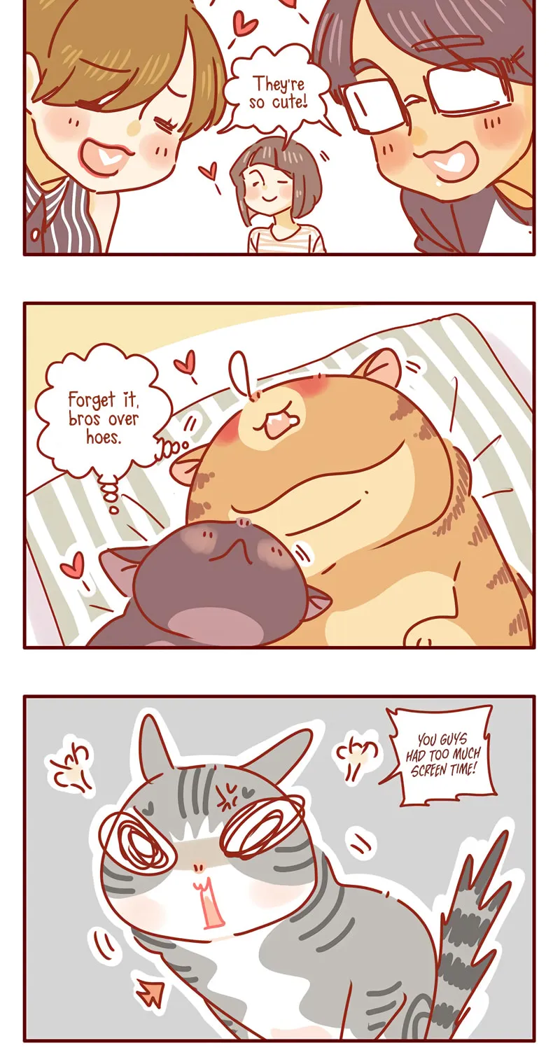 I Am a Small Kitten (Colored) Chapter 34 page 12 - 