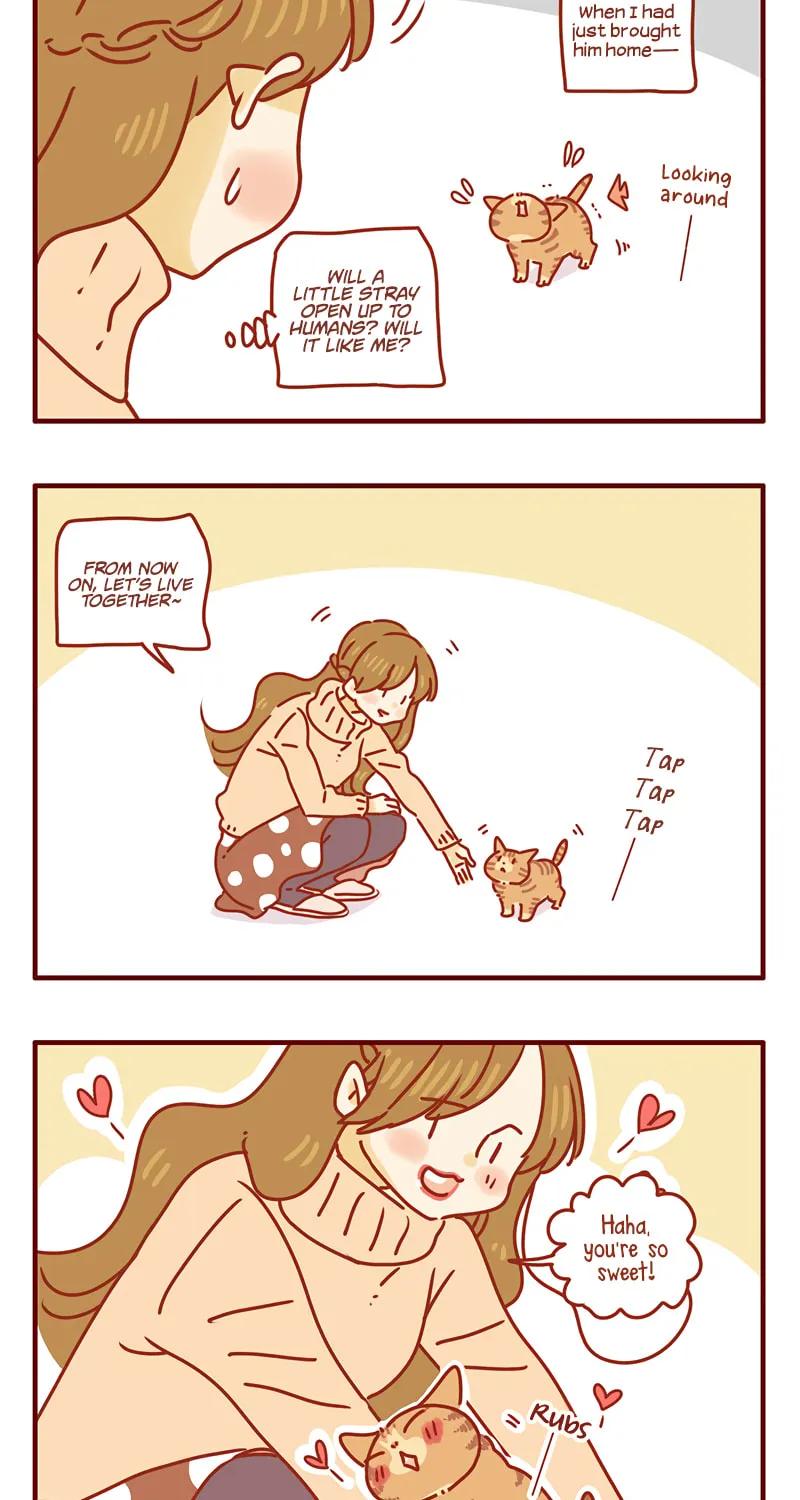I Am a Small Kitten (Colored) Chapter 35 page 3 - 