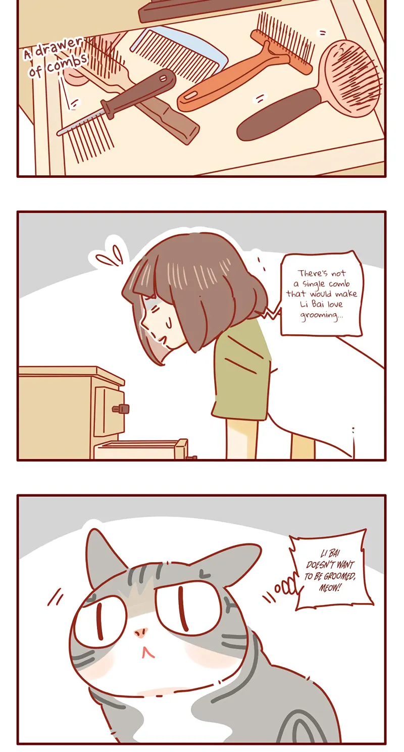 I Am a Small Kitten (Colored) Chapter 37 page 12 - 