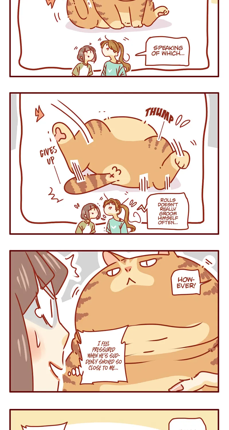 I Am a Small Kitten (Colored) Chapter 38 page 2 - 
