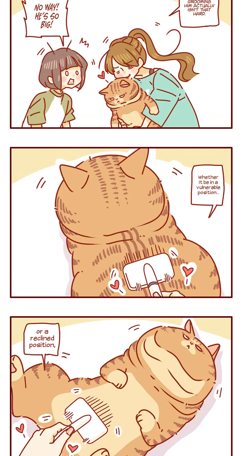 I Am a Small Kitten (Colored) Chapter 38 page 3 - 