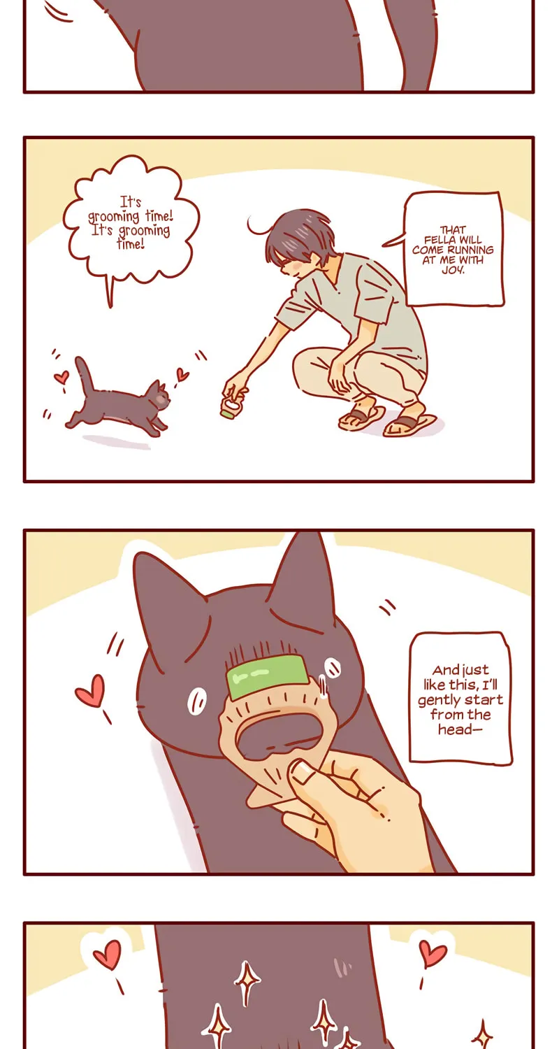 I Am a Small Kitten (Colored) Chapter 38 page 8 - 