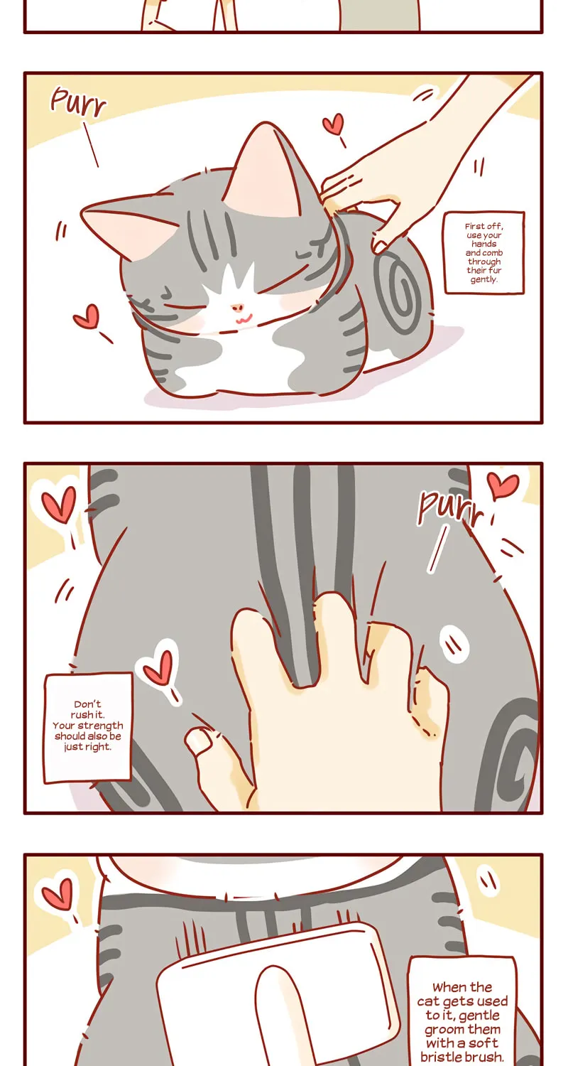 I Am a Small Kitten (Colored) Chapter 38 page 10 - 