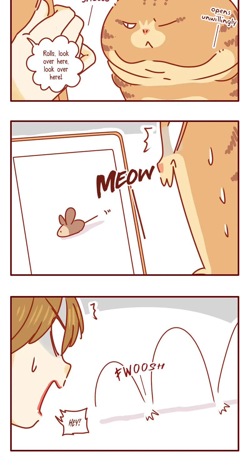 I Am a Small Kitten (Colored) Chapter 41 page 4 - 