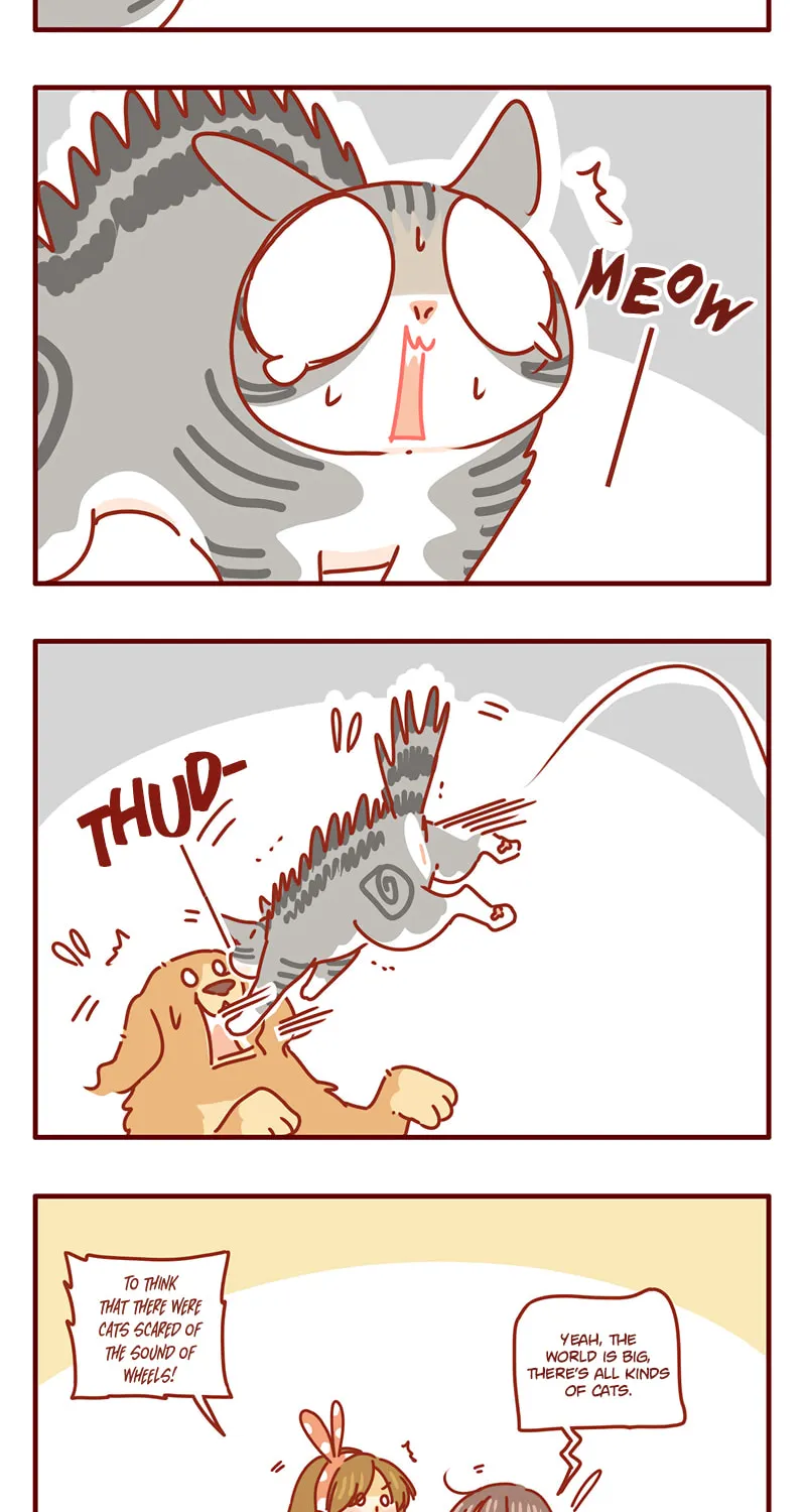 I Am a Small Kitten (Colored) Chapter 41 page 10 - 