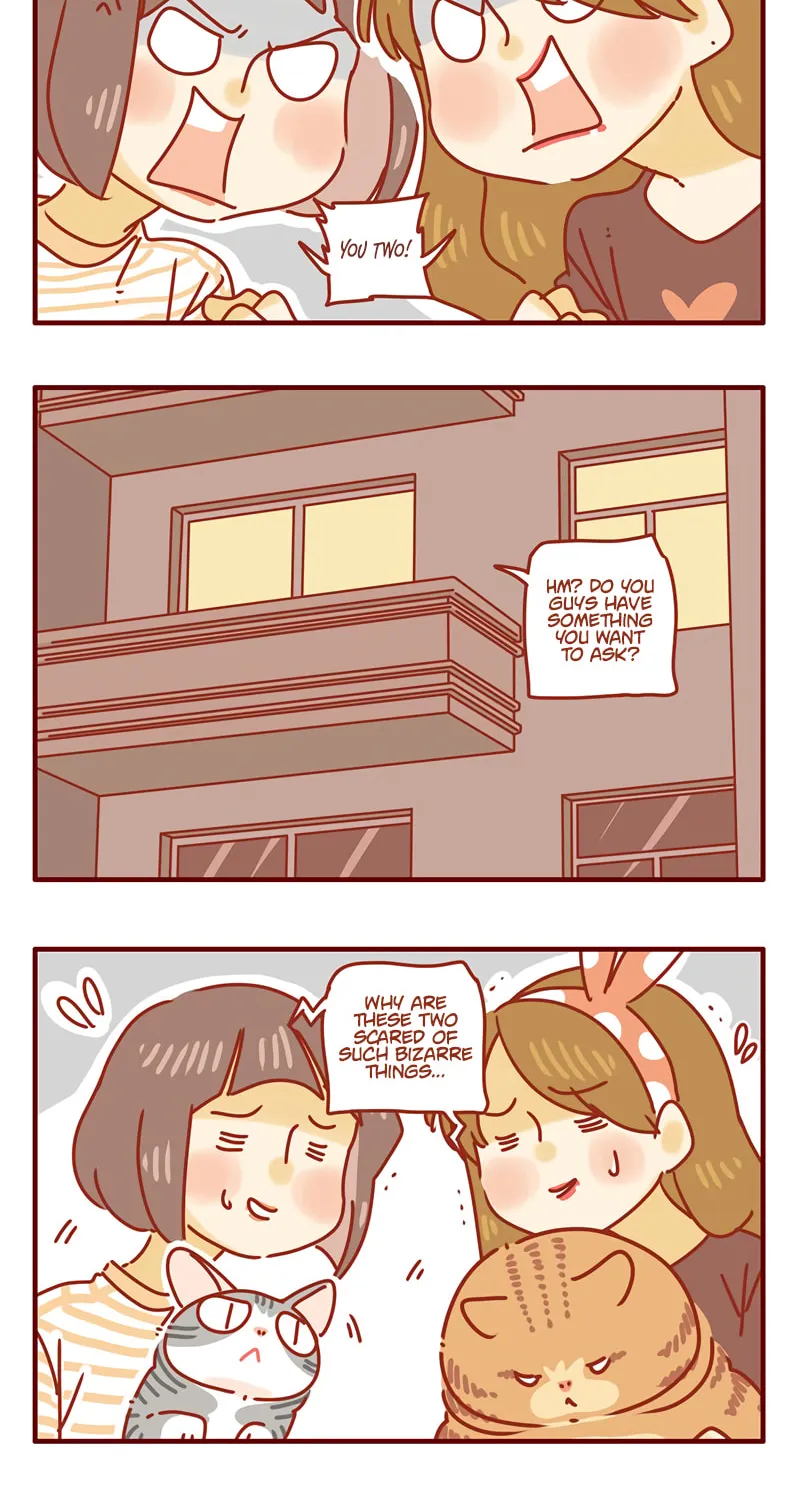 I Am a Small Kitten (Colored) Chapter 42 page 4 - 