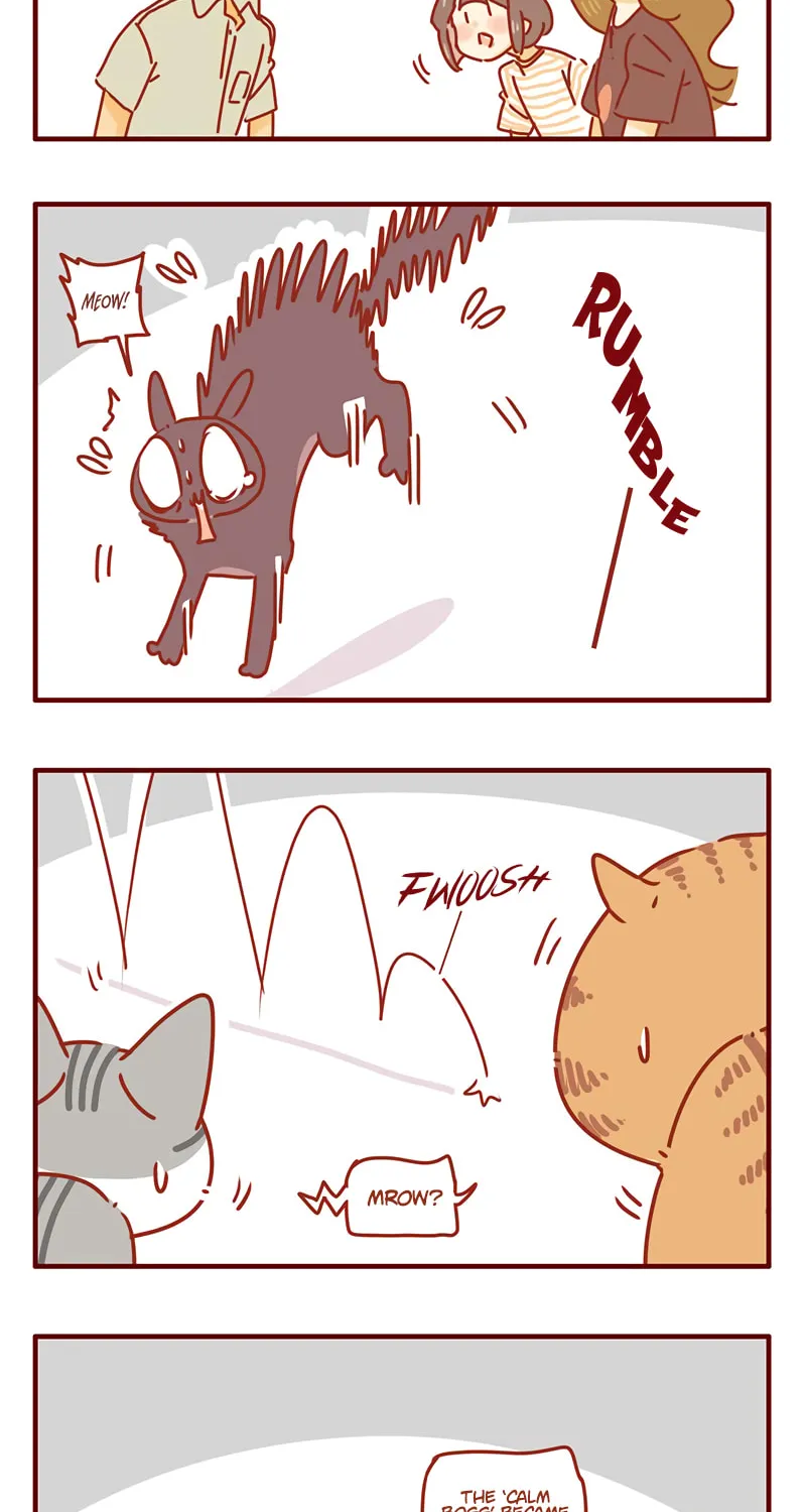 I Am a Small Kitten (Colored) Chapter 42 page 8 - 