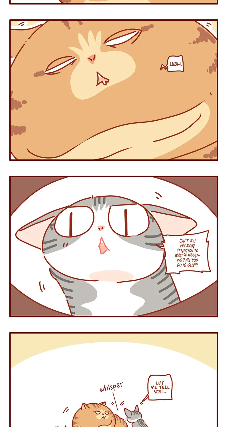 I Am a Small Kitten (Colored) Chapter 43 page 2 - 