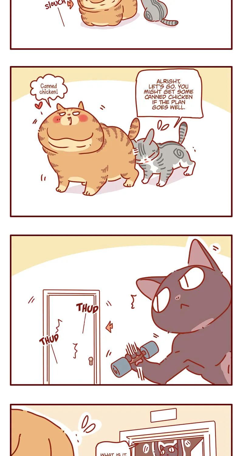 I Am a Small Kitten (Colored) Chapter 43 page 3 - 