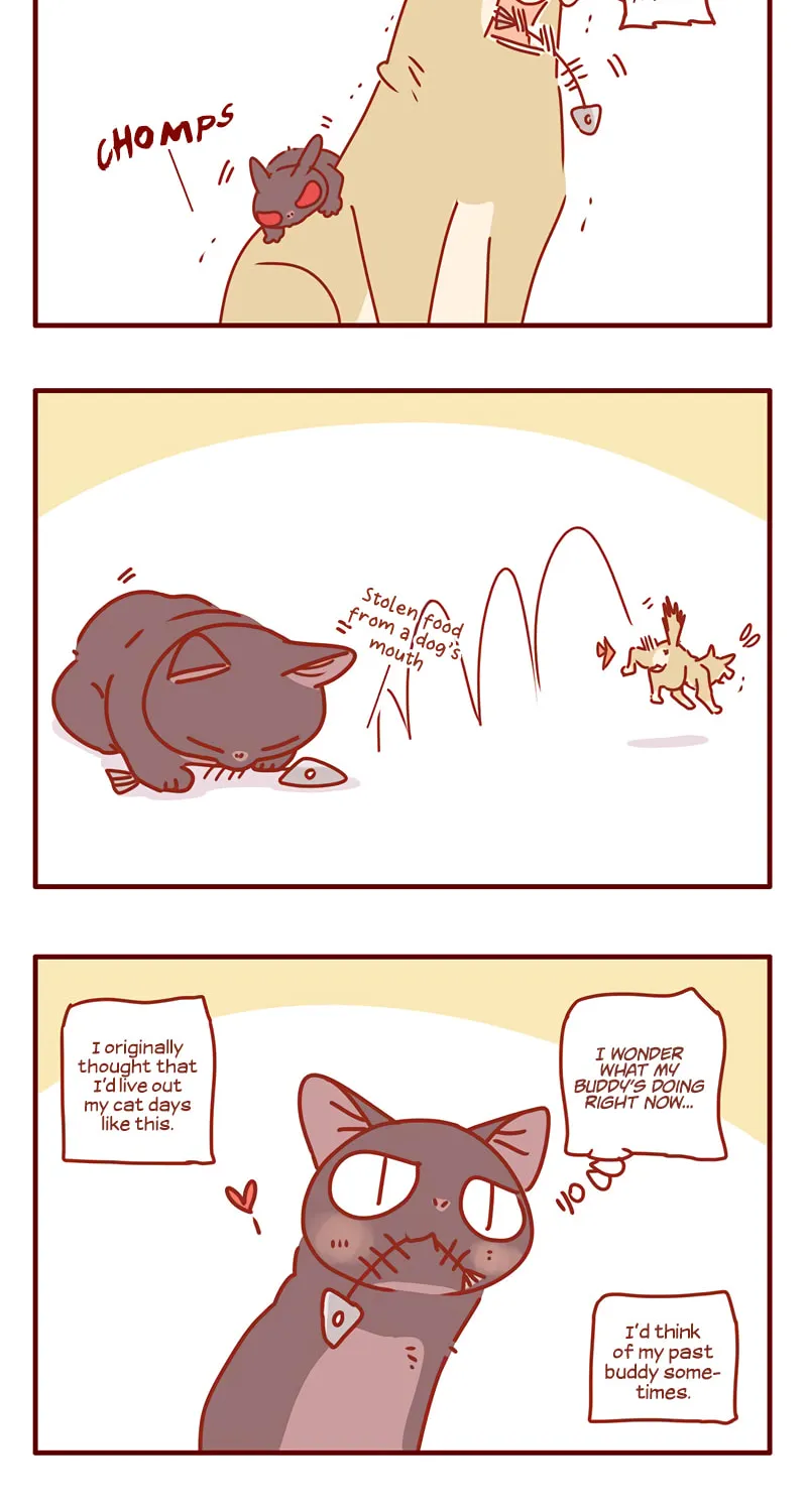 I Am a Small Kitten (Colored) Chapter 45 page 4 - 