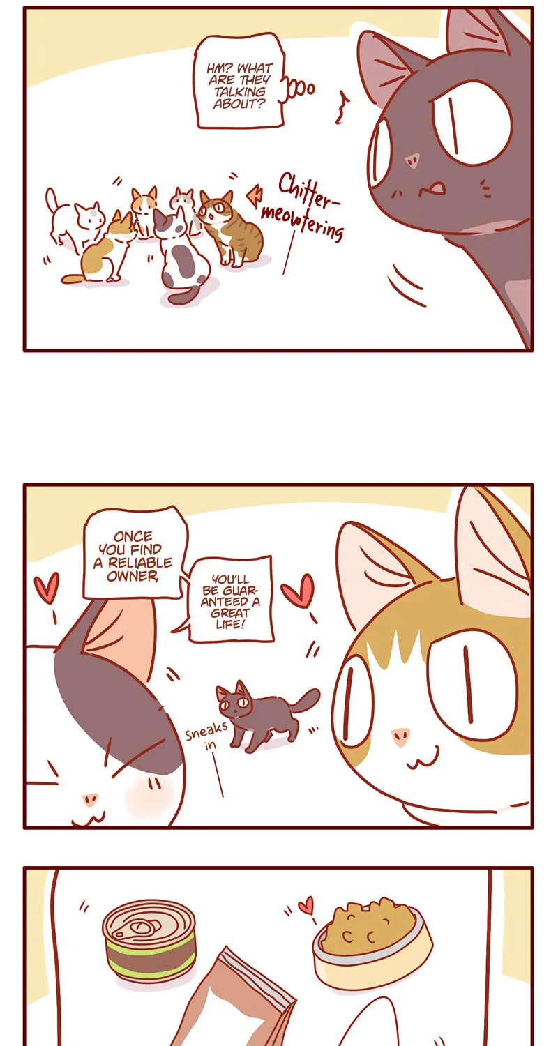 I Am a Small Kitten (Colored) Chapter 45 page 5 - 