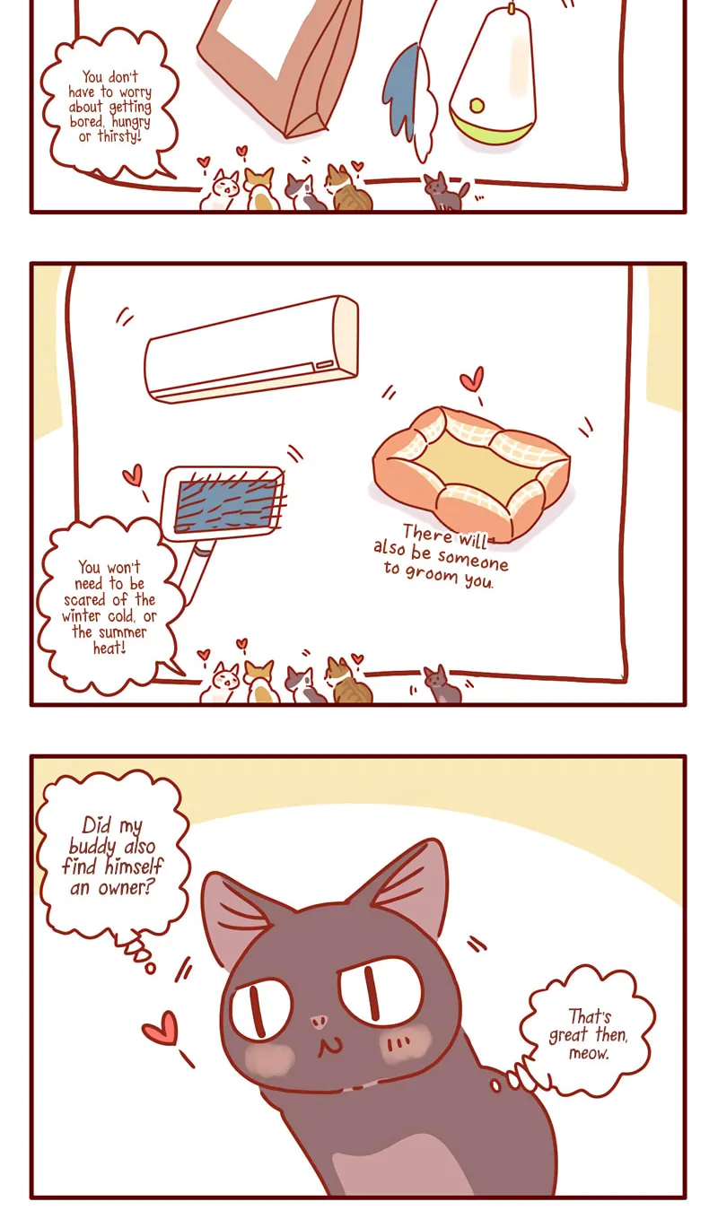 I Am a Small Kitten (Colored) Chapter 45 page 6 - 