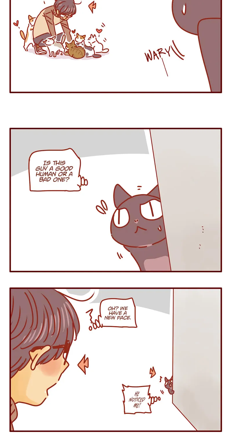 I Am a Small Kitten (Colored) Chapter 45 page 9 - 