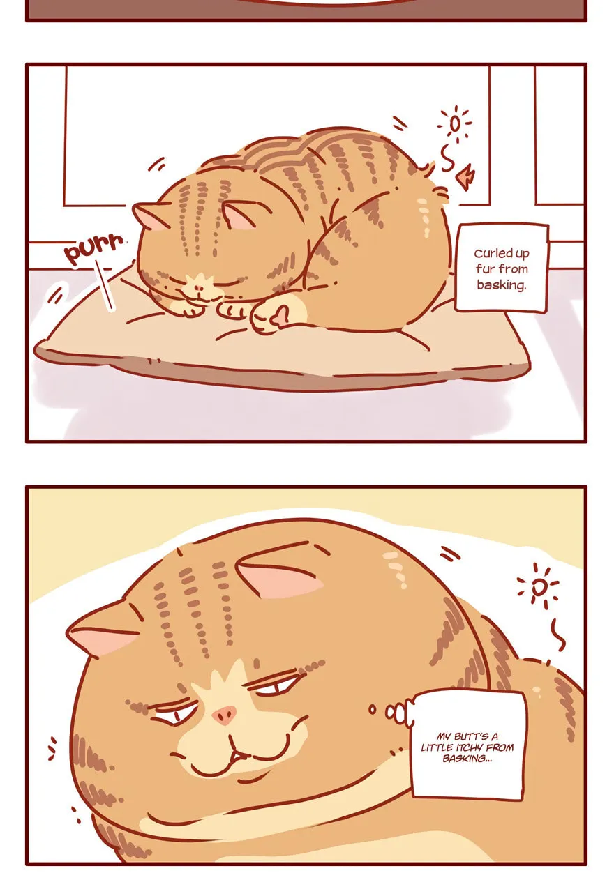 I Am a Small Kitten (Colored) Chapter 48 page 7 - 