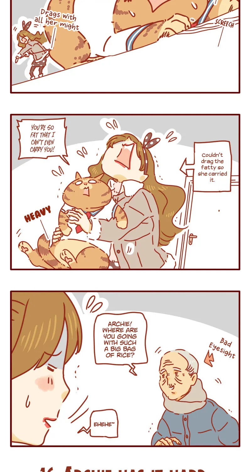 Read I Am a Small Kitten (Colored) chapter 5 image 11 on Lezhin