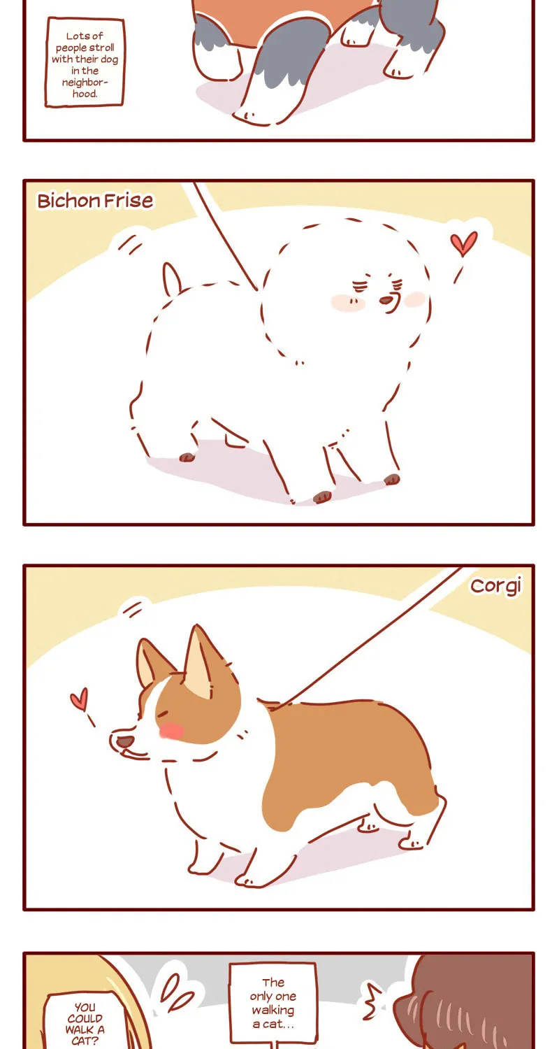 Read I Am a Small Kitten (Colored) chapter 5 image 13 on Lezhin