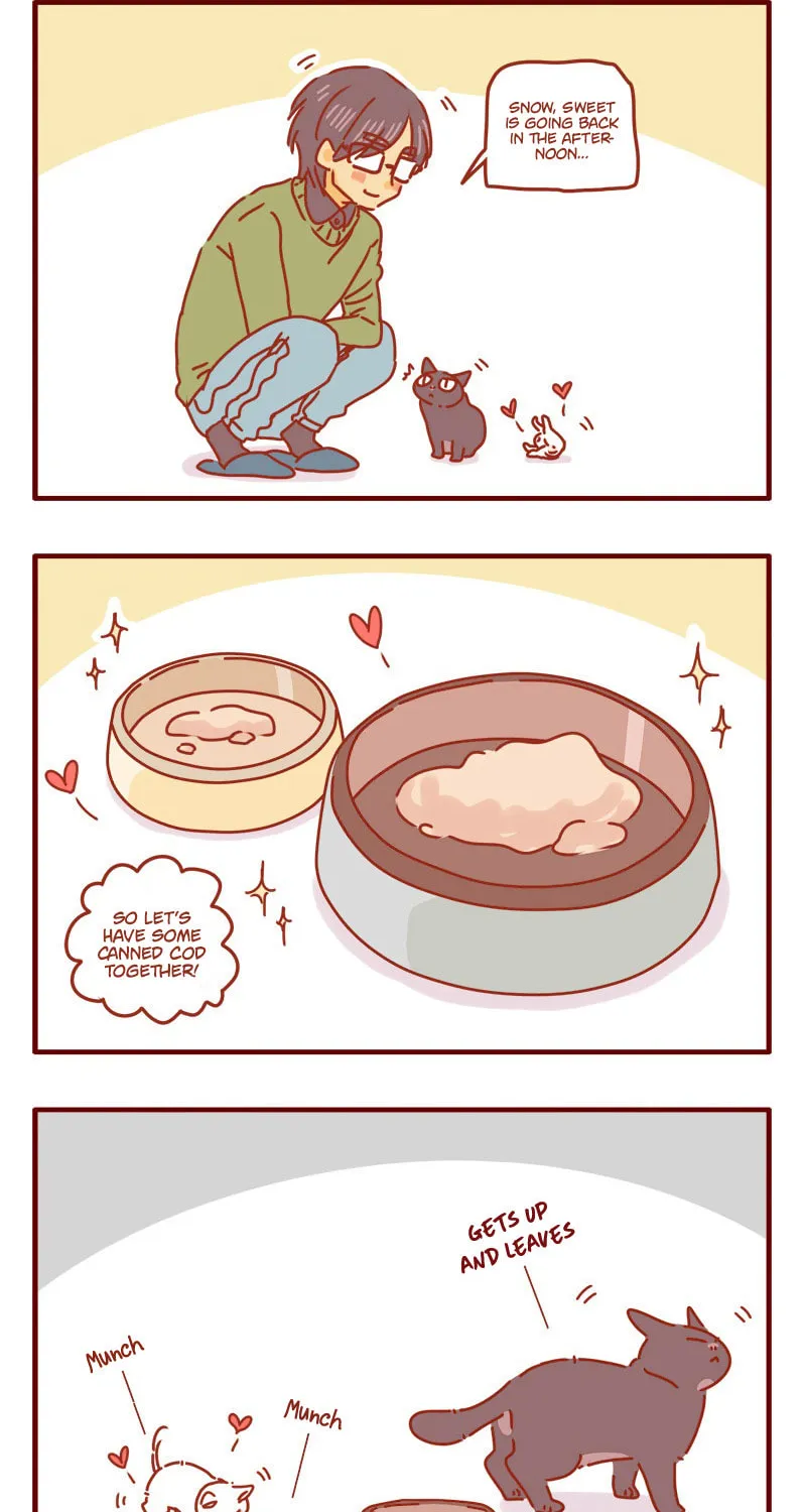 Read I Am a Small Kitten (Colored) chapter 5 image 2 on Lezhin
