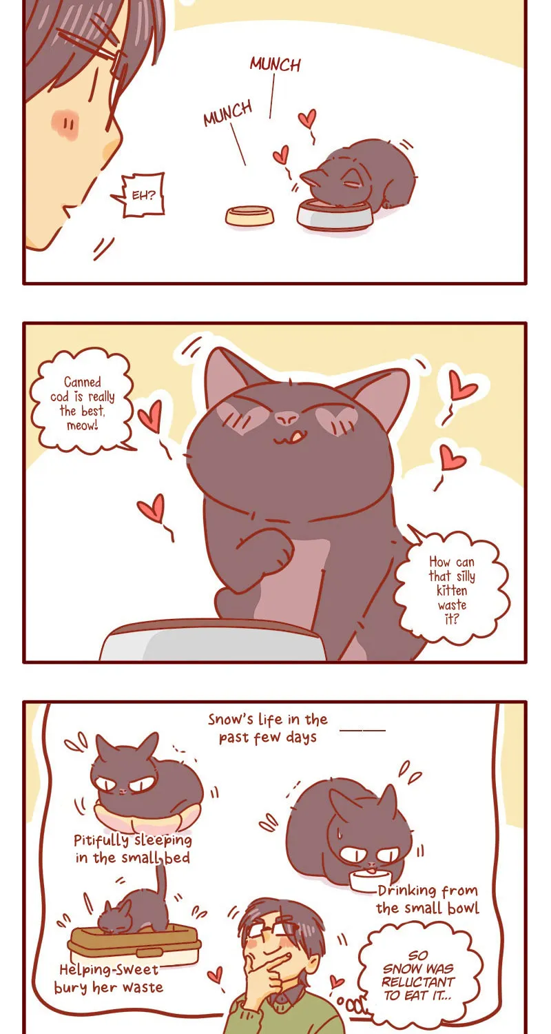 Read I Am a Small Kitten (Colored) chapter 5 image 4 on Lezhin