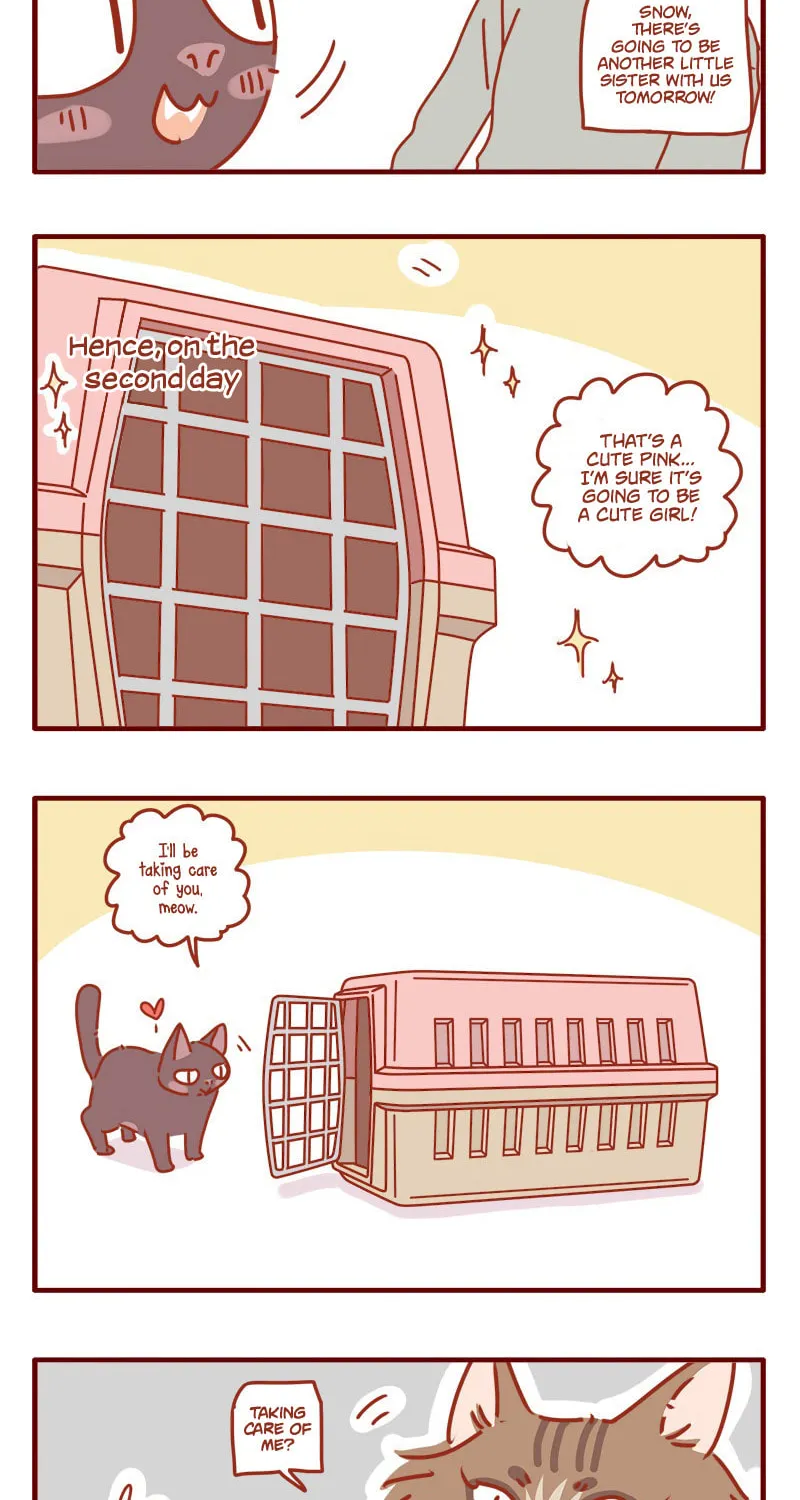 Read I Am a Small Kitten (Colored) chapter 5 image 6 on Lezhin