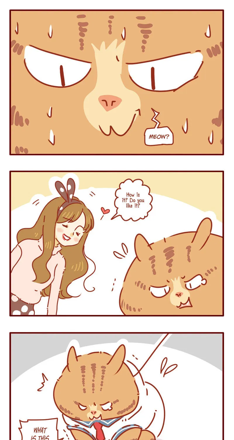 Read I Am a Small Kitten (Colored) chapter 5 image 9 on Lezhin