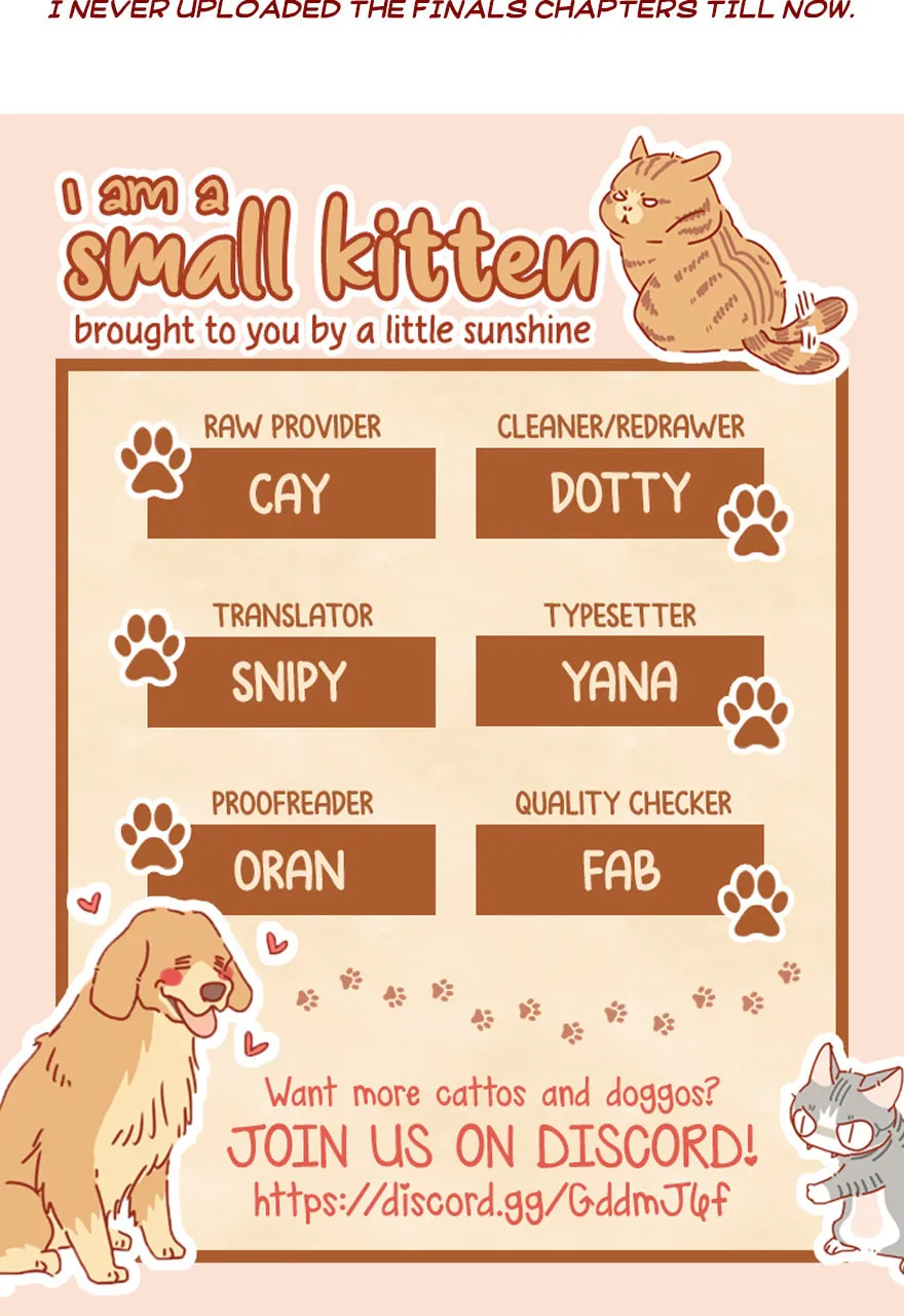 I Am a Small Kitten (Colored) Chapter 53 page 17 - 