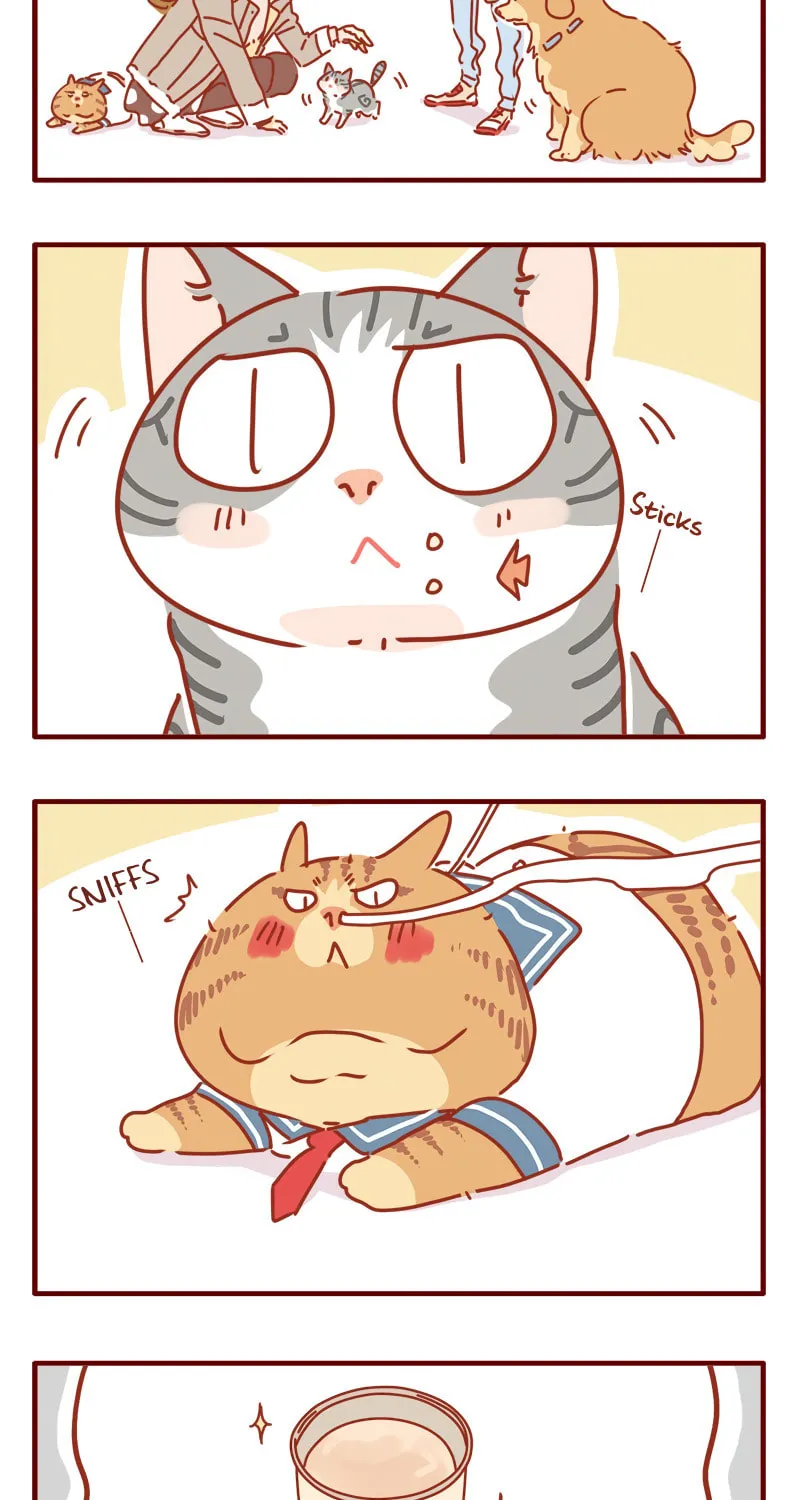 Read I Am a Small Kitten (Colored) chapter 7 image 12 on Lezhin