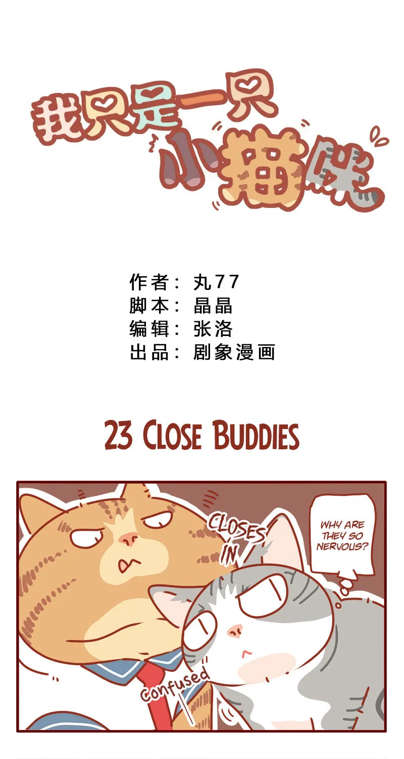 Read I Am a Small Kitten (Colored) chapter 8 image 1 on Lezhin
