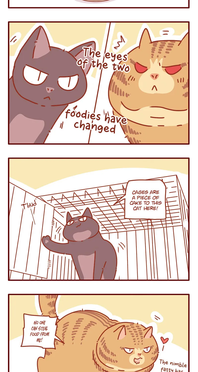 Read I Am a Small Kitten (Colored) chapter 9 image 10 on Lezhin