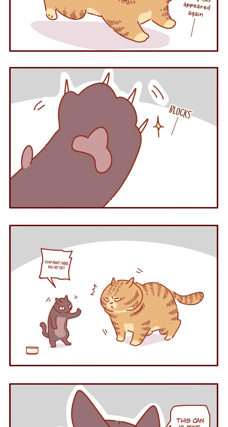Read I Am a Small Kitten (Colored) chapter 9 image 11 on Lezhin